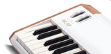 Arturia Astrolab - 61-key Stage Keyboard Pitch and Mod Wheel