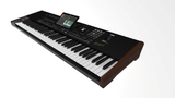 Korg PA5X-76 Oriental - Professional Arranger Keyboard with 76 Hammer-Action Keys