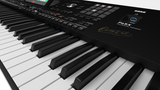 Korg PA5X-76 Oriental - Professional Arranger Keyboard with 76 Hammer-Action Keys