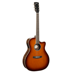 Cort Exotic-GA Walnut Acoustic