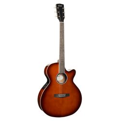 Cort Exotic-SFX Myrtle Acoustic