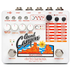 Electro Harmonix Grand Canyon Delay & Looper Pedal