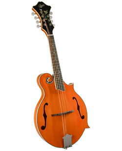 Rover RM-75 F-Style Mandolin - Natural