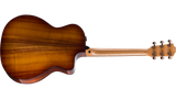 Taylor 224ce-K DLX back