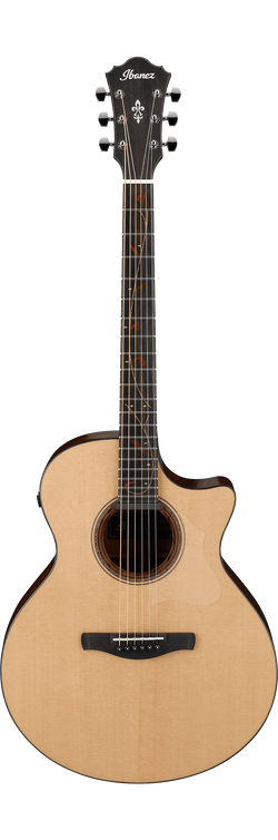 Ibanez AE325 LGS Acoustic Guitar