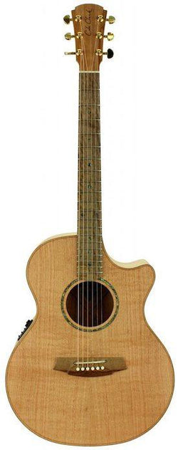 Cole Clark CCAN2EC-SSO Guitar