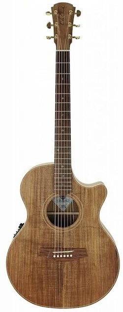 Cole Clark TL2EC-BLBL Guitar