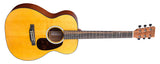 Martin 000JR-10E Shawn Mendes Custom Signature Edition Acoustic Electric Guitar top