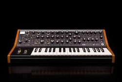 Moog Subsequent 37