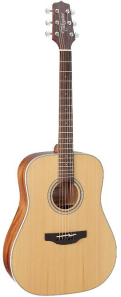 Takamine GD20-NS.