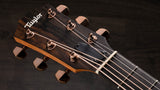 Taylor 224ce-K DLX headstock