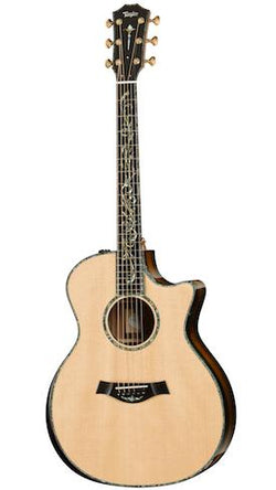 Taylor PS14ce Acoustic Guitar