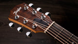 Taylor GS Mini-e Koa Acoustic Guitar headstock